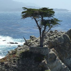 Meet your Posher, Bridget